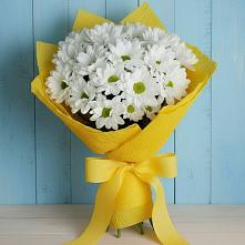 Букет цветов из:  Хризантемы в Шамилькале
