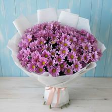 Букет цветов из:  Хризантемы в Шамилькале