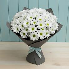 Букет цветов из:  Хризантемы в Шамилькале