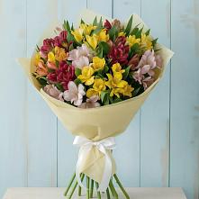 Букет цветов из:  Альстромерии в Шамилькале