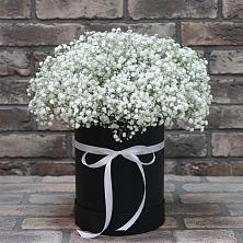 Цветочная композиция из Гипсофила в шляпной коробке в Шамилькале