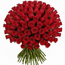 Букет Красные розы Чери Лав в Шамилькале